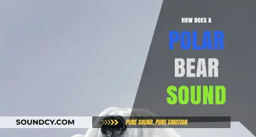 Unveiling the Unique Vocalizations of Polar Bears in the Arctic