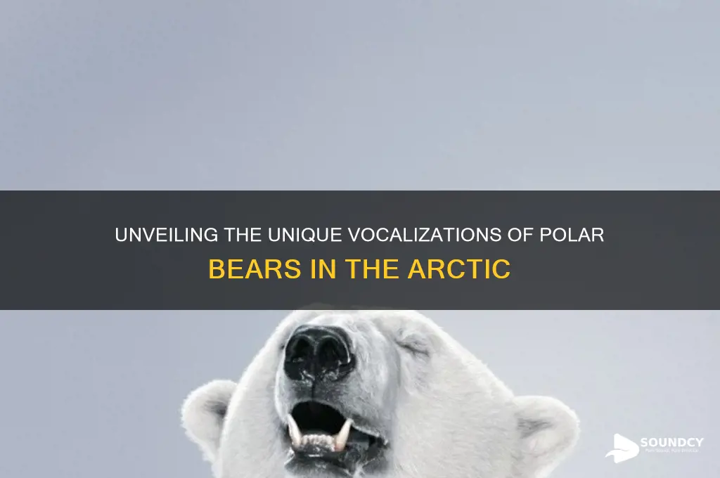how does a polar bear sound