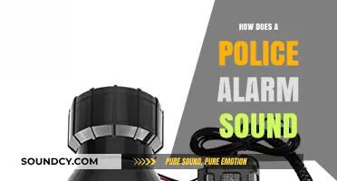 Understanding the Distinctive Sound of a Police Alarm: A Comprehensive Guide