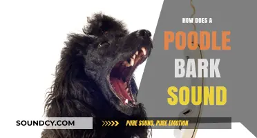 Understanding the Unique Bark of a Poodle: Sounds and Characteristics