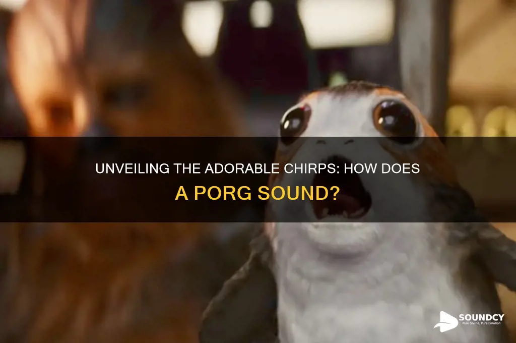 how does a porg sound