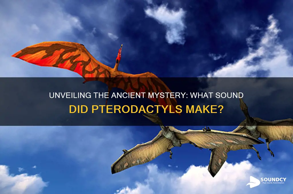how does a pterodactyl sound