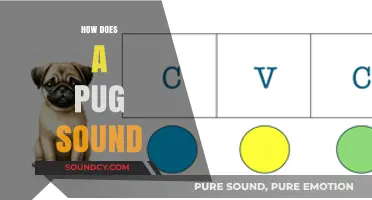 Understanding the Unique Vocalizations: How Does a Pug Sound?