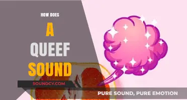 Understanding the Unique Sound of a Queef: Causes and Facts