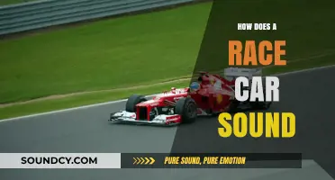 The Roaring Symphony: Unveiling the Unique Sound of Race Cars