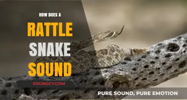 Unveiling the Distinctive Buzz: How Does a Rattlesnake Sound?