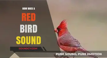 Exploring the Unique and Enchanting Sounds of a Red Bird