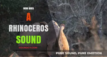 Unveiling the Unique Vocalizations: How Does a Rhinoceros Sound?