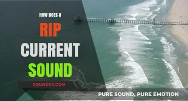 The Audible Danger: How Rip Currents Sound in the Ocean