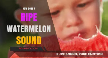 How to Identify a Ripe Watermelon by Its Sound and Feel