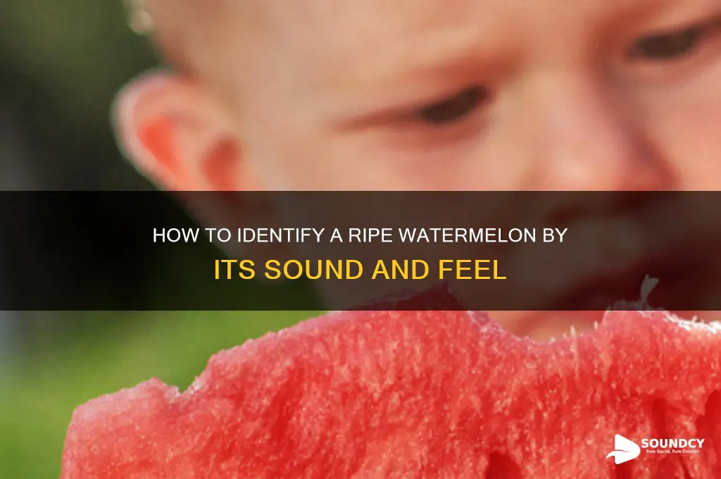 how does a ripe watermelon sound