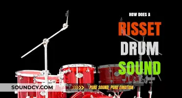 Exploring the Unique Sonic Illusion of a Risset Drum's Sound