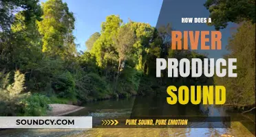 The Symphony of Rivers: Unraveling Nature's Aquatic Soundscapes