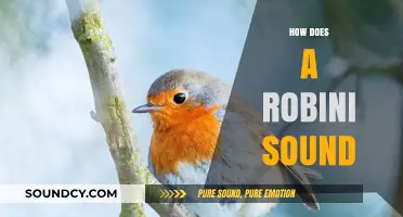 Exploring the Unique Sounds of a Robini: A Comprehensive Guide