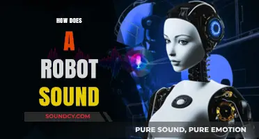 Exploring the Unique Sounds and Voices of Modern Robots