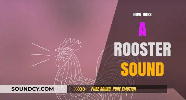 Understanding the Distinctive Crow of a Rooster: Sounds and Meanings