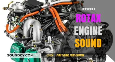 Experience the Unique Sound of a Rotax Engine in Action
