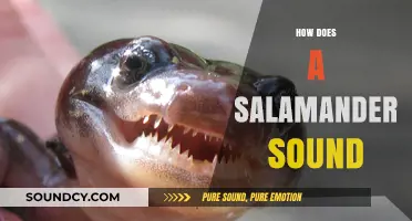 Unveiling the Unique Vocalizations: How Does a Salamander Sound?