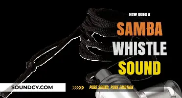 The Unique Sound of a Samba Whistle: A Musical Exploration