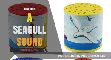 Exploring the Unique Vocalizations: What Does a Seagull Sound Like?