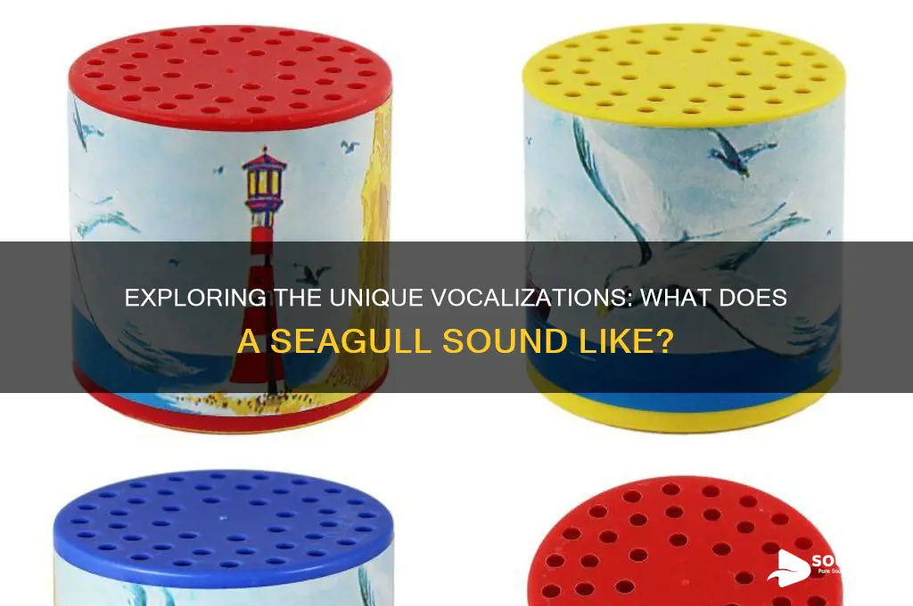 how does a seagull sound