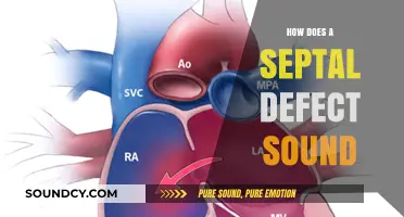 Unraveling the Unique Heart Murmur of a Septal Defect: What to Listen For