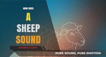 Understanding the Unique Vocalizations: How Does a Sheep Sound?