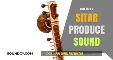 Unveiling the Sitar's Magic: How Strings and Resonance Create Sound