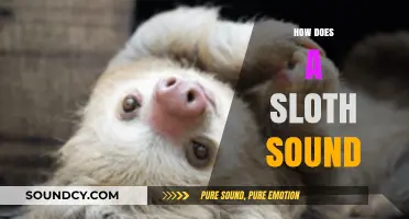 Unveiling the Unique Vocalizations: How Does a Sloth Sound?