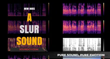 Understanding the Audible Impact: How a Slur Sounds and Why It Matters