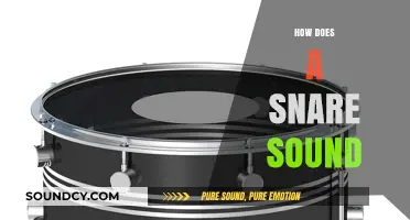 Exploring the Crisp, Sharp Sound of a Snare Drum