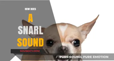 Unraveling the Ferocious Snarl: What Does This Sound Really Mean?