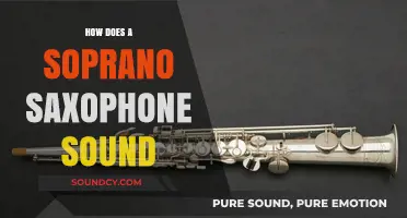 Exploring the Bright, Expressive Tone of the Soprano Saxophone