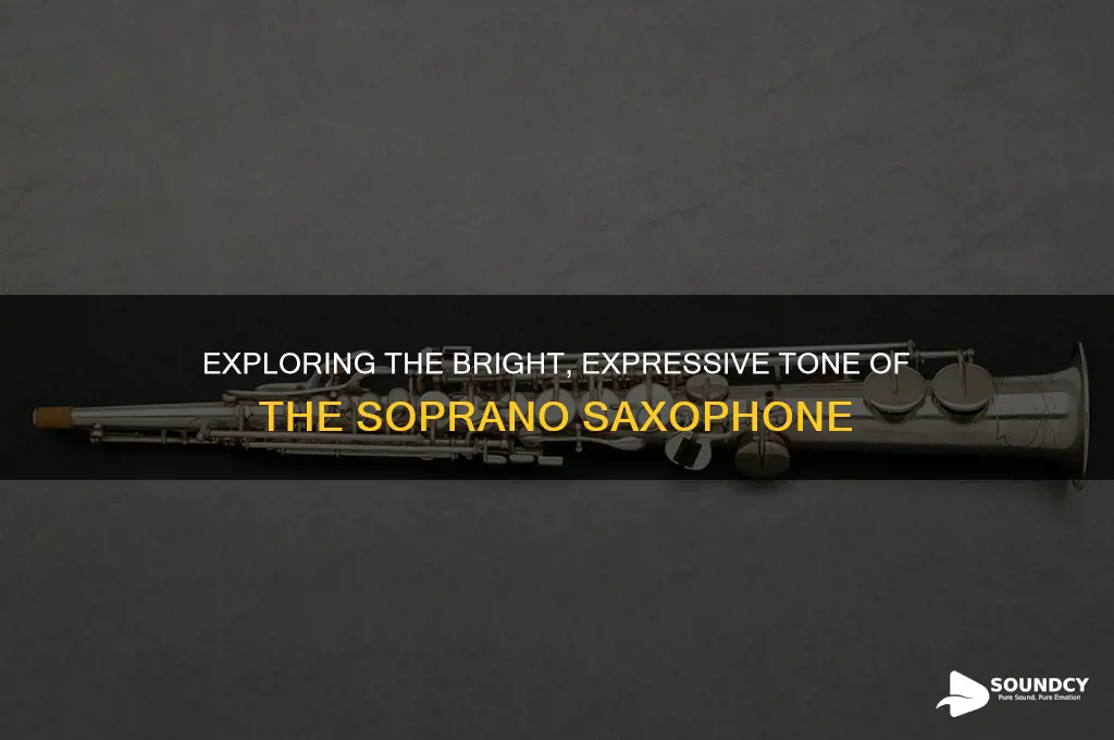 how does a soprano saxophone sound