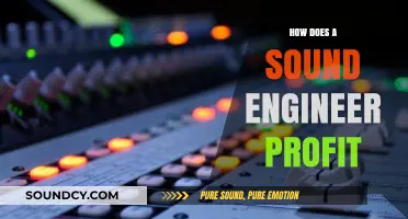 Maximizing Earnings: Strategies for Sound Engineers to Profit in Audio Industry