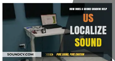 Sound Shadows: Unlocking the Secrets of Acoustic Localization Techniques