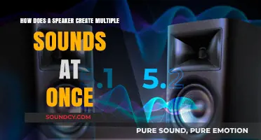 Unveiling the Science: How Speakers Simultaneously Produce Multiple Sounds