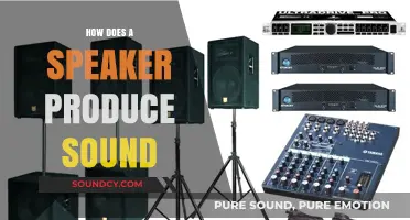 The Science of Sound: Speakers Explained