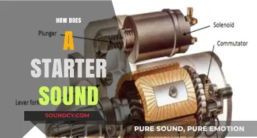 Understanding the Distinct Sound of a Car Starter Motor