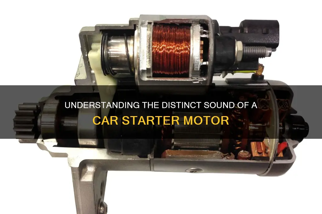 how does a starter sound