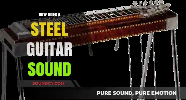Exploring the Unique, Resonant Sound of the Steel Guitar