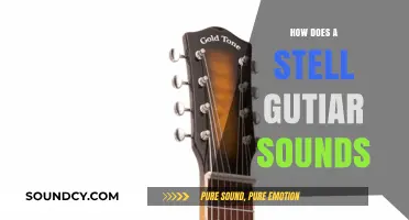 Exploring the Rich, Warm Tone of a Steel-String Guitar