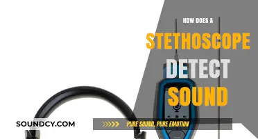 How Stethoscopes Amplify and Detect Internal Body Sounds