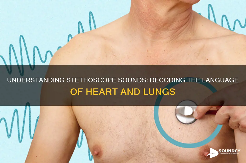 how does a stethoscope sounds called