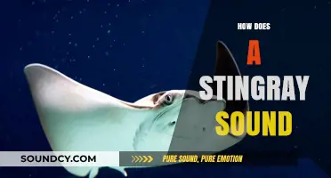 Unveiling the Unique Underwater Sounds of Stingrays: A Sonic Exploration
