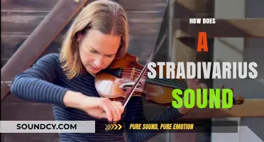The Timeless Resonance of a Stradivarius: Unveiling Its Unique Sound