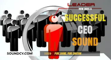 The Vocal Power of Leadership: How Successful CEOs Communicate Effectively