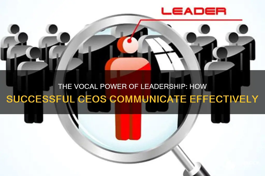 how does a successful ceo sound