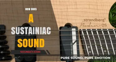 Exploring the Unique Sustainiac Guitar Pickup Sound and Effects