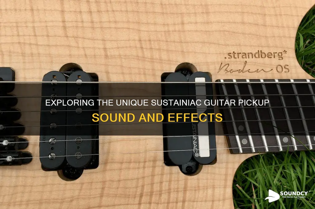 how does a sustainiac sound